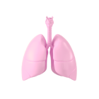 БАДы для дыхательной системы 
